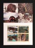Plic Prima Zi FDC ONU Geneva 2001 Specii Amenințate cu Extincția Bloc 4 Timbre R&acirc;s Păun Țestoasă Lemur - A992