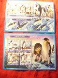 2 Blocuri Burkina Faso 2019 Fauna Arctica Pinguini, Stampilat