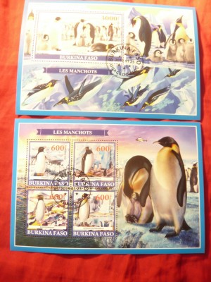 2 Blocuri Burkina Faso 2019 Fauna Arctica Pinguini foto