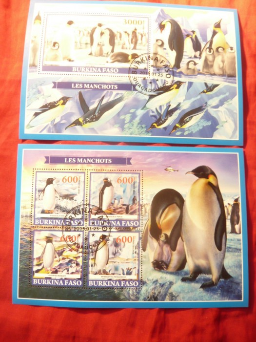 2 Blocuri Burkina Faso 2019 Fauna Arctica Pinguini