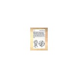 Sailors&#039; Letters. Letters from a Midshipman in the Royal Navy, to His Friend and Brother Officer, in Various Parts of the World, from the Year 1768 to
