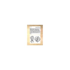 Sailors&#039; Letters. Letters from a Midshipman in the Royal Navy, to His Friend and Brother Officer, in Various Parts of the World, from the Year 1768 to