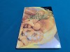 GHID DE BUNE PRACTICI DE IGIENĂ &Icirc;N PANIFICAȚIE / BUZILĂ GHEORGHE / 2005 * 47A