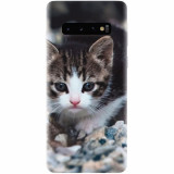 Husa silicon pentru Samsung Galaxy S10, Animal Cat
