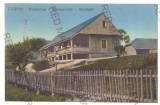 5469 - COLIBITA, Bucovina, Restaurant, Romania - old postcard - unused, Necirculata, Printata