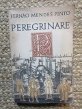 Fernao Mendes Pinto - Peregrinare