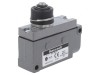 Limitator de cursă BZE7-2RN-PG