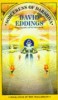 David Eddings - Sorceress of Darshiva