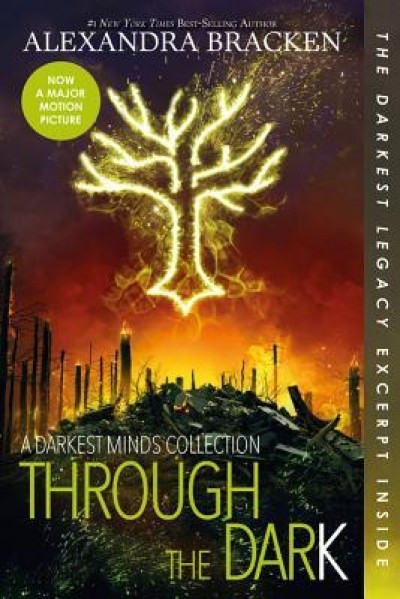 Through the Dark (Bonus Content) (a Darkest Minds Collection)