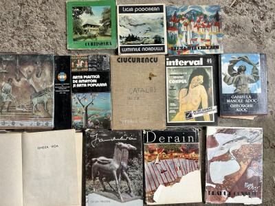 Lot 12 diverse albume de artă- stare bună foto