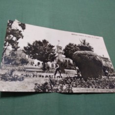 CARTE POSTALA CIRCULATA BRAILA-VEDERE DIN PIATA V,I,LENIN