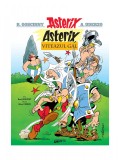 Asterix, viteazul gal (vol. 1) - Ren&eacute; Goscinny, Grafic