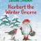 Norbert the Winter Gnome