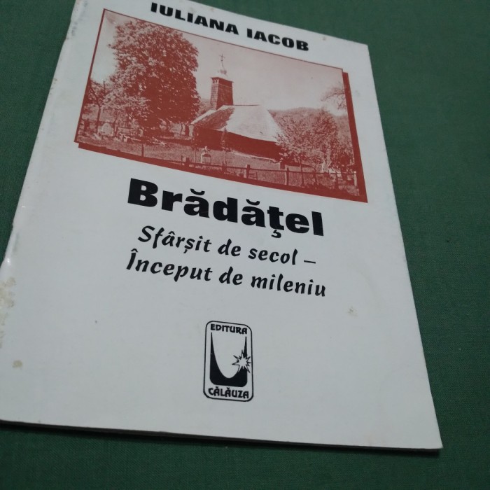 IULIANA IACOB-BRADATEL SFARSIT DE SECOL-INCEPUT DE MILENIU