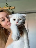 Pisoi Scottish Fold Shorthair. Un ghemotoc de fericire (Pedigree)