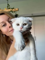 Pisoi Scottish Fold Shorthair. Un ghemotoc de fericire (Pedigree)
