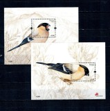 Portugal Azore 2008 - Păsări, colite neuzate