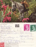Ilustrata Canare (Spania)- Gran Canaria