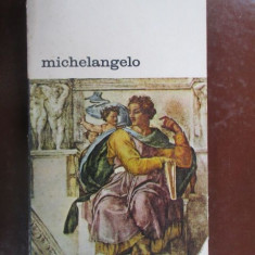 Michelangelo :Herbe rt von Einem