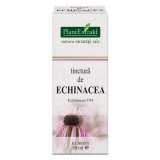 TINCTURA ECHINACEA TM 50ML, Plantextrakt