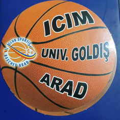 program prezentare ICIM Arad 2011