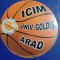 program prezentare ICIM Arad 2011