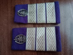 C2 44 - Grade militare - plutonier adjutant logistica - piesa de colectie!