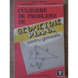 CULEGERE DE PROBLEME DE GEOMETRIE PLANA PENTRU GIMNAZIU-PETRUTA GAZDARU, DORINA BADESCU, STAN GAZDARU-348843