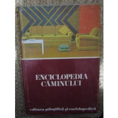 Enciclopedia caminului de la A la Z - Dinu-Teodor Constantinescu