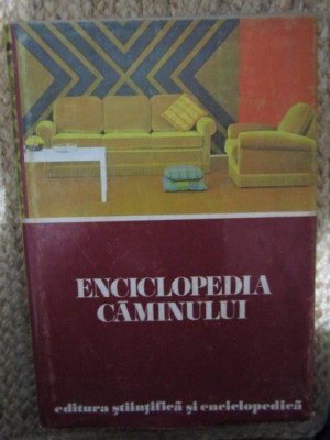 Enciclopedia caminului de la A la Z - Dinu-Teodor Constantinescu foto