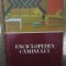 Enciclopedia caminului de la A la Z - Dinu-Teodor Constantinescu