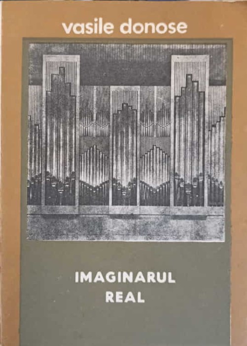 IMAGINARUL REAL-VASILE DONOSE-277755