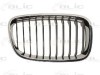 Grila radiator BMW Seria 1 (F20) (2010 - 2016) BLIC 6502-07-0086992P