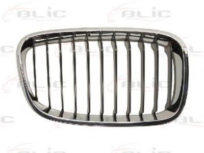 Grila radiator BMW Seria 1 (F20) (2010 - 2016) BLIC 6502-07-0086992P foto
