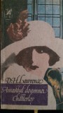 Amantul doamnei Chatterley D.H.Lawrence 1991