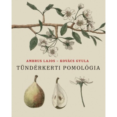 T&amp;uuml;nd&amp;eacute;rkerti pomol&amp;oacute;gia - Ambrus Lajos foto