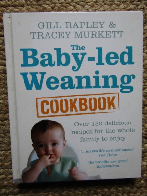 The Baby-Led Weaning Cookbook - Over 130 Delicious Recipes for the Whole Family to Enjoy Gill Rapley, Tracey Murkett foto