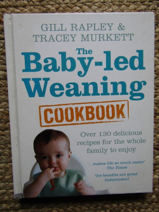 The Baby-Led Weaning Cookbook - Over 130 Delicious Recipes for the Whole Family to Enjoy Gill Rapley, Tracey Murkett