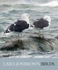 Lars Jonsson&#039;s Birds: Paintings from a Near Horizon
