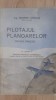 Pilotajul planoarelor tratat practic