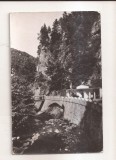RF206 - Carte Postala - Olanesti. Izvorul nr 24, circulata 1963