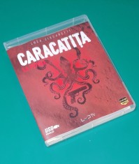 La Piovra - Caracatița Seria I - X (Miniserial) - subtitrat romana