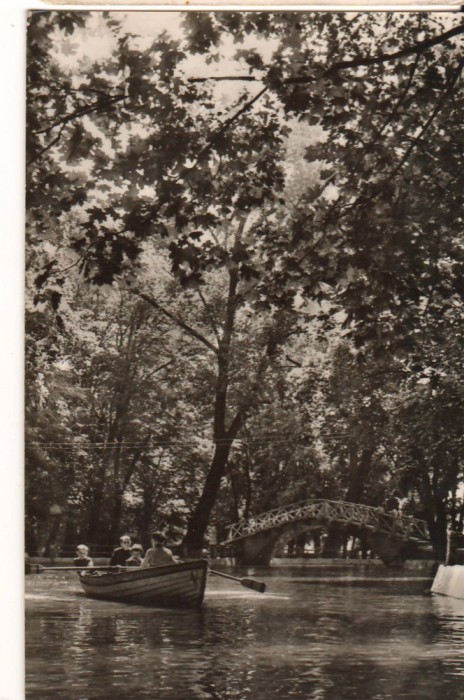 CPIB 22612 - CARITE POSTAL - BOTOSAN. VEDERE DIN PARCUL EMINESCU, NECIRCULATA