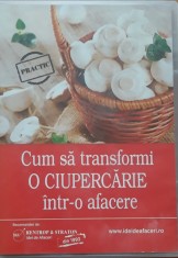 Cum sa Transformi o Ciupercarie intr-o Afacere - Idei de Afaceri