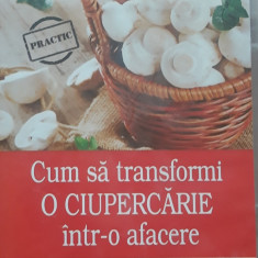 Cum sa Transformi o Ciupercarie intr-o Afacere - Idei de Afaceri