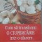 Cum sa Transformi o Ciupercarie intr-o Afacere - Idei de Afaceri