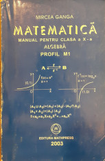 Matematica manual pentru clasa a X-a Algebra Profil M1 foto