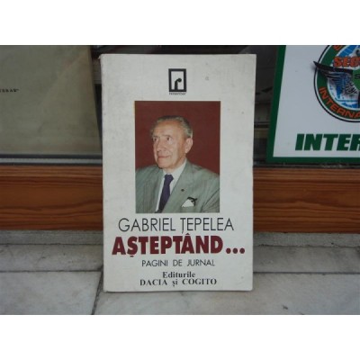 Asteptand... Pagini de jurnal , Gabriel Tepelea , 1997 foto