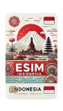 eSIM Indonesia 100GB 30Days Standard
