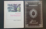 2 titluri ȘTEFAN BĂNULESCU: Iarna bărbaților / Scrisori Provinciale
